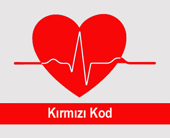 Elseti Çağrı Butonu